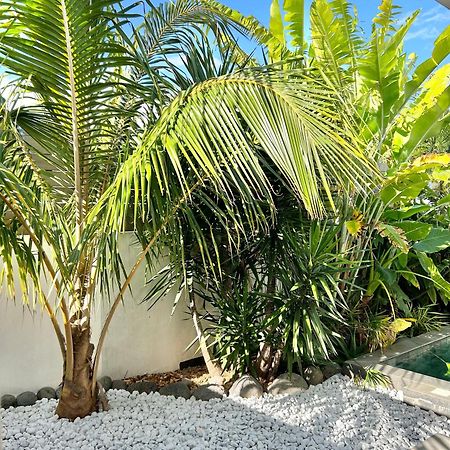 Le Yucca 974 By J&V Villa Saint Pierre Exterior photo