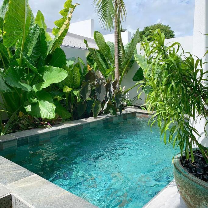 Le Yucca 974 By J&V Villa Saint Pierre Exterior photo