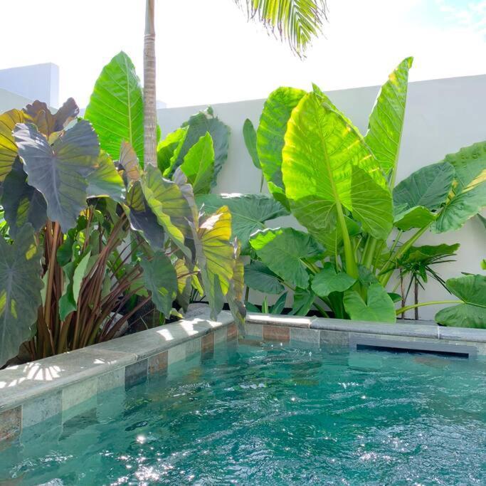 Le Yucca 974 By J&V Villa Saint Pierre Exterior photo
