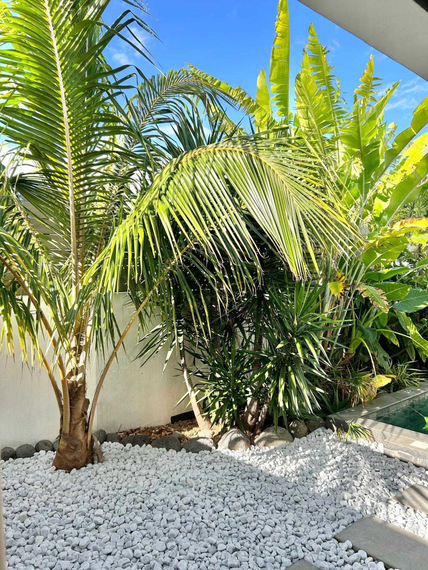 Le Yucca 974 By J&V Villa Saint Pierre Exterior photo