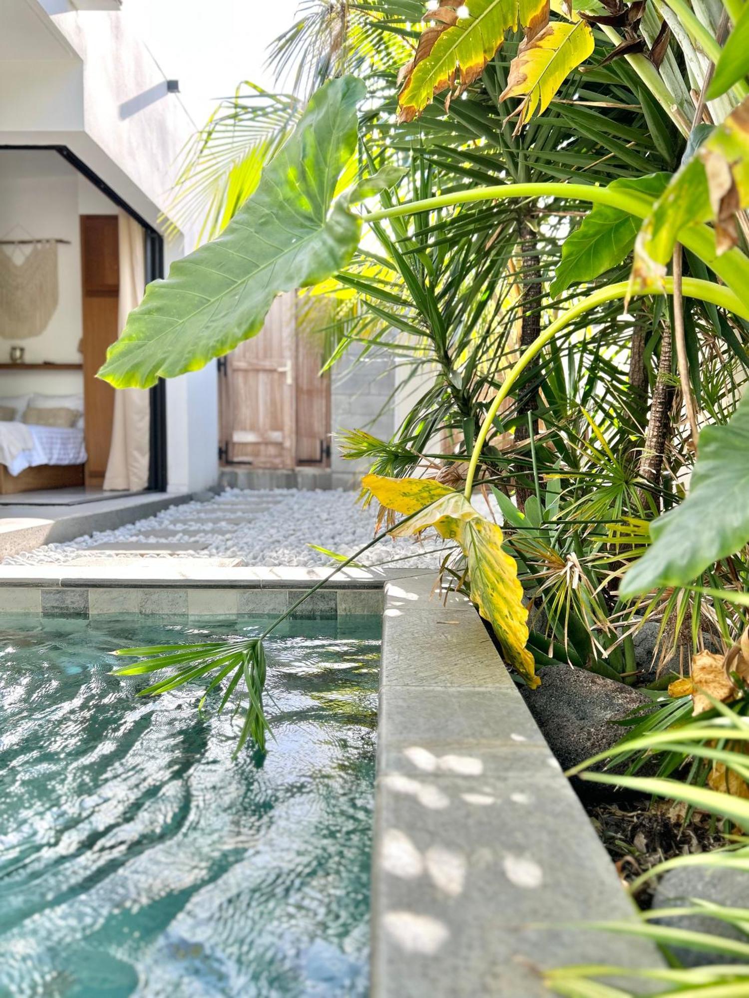 Le Yucca 974 By J&V Villa Saint Pierre Exterior photo